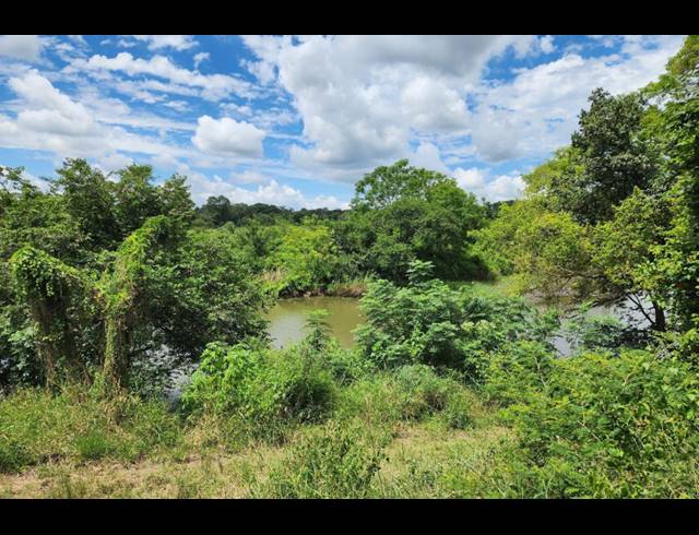 742,854M² FARM FOR SALE IN LEVUBU